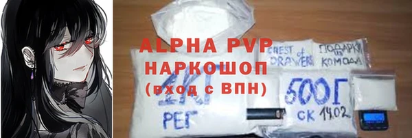 СК Медвежьегорск