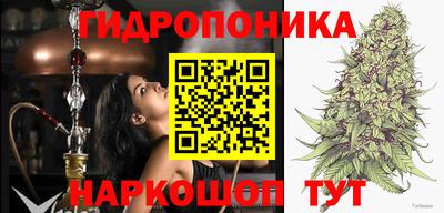 a pvp Заволжье