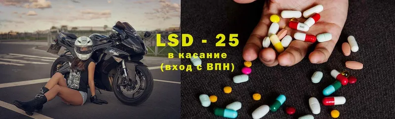 блэк спрут как войти  Заводоуковск  ЛСД экстази ecstasy 