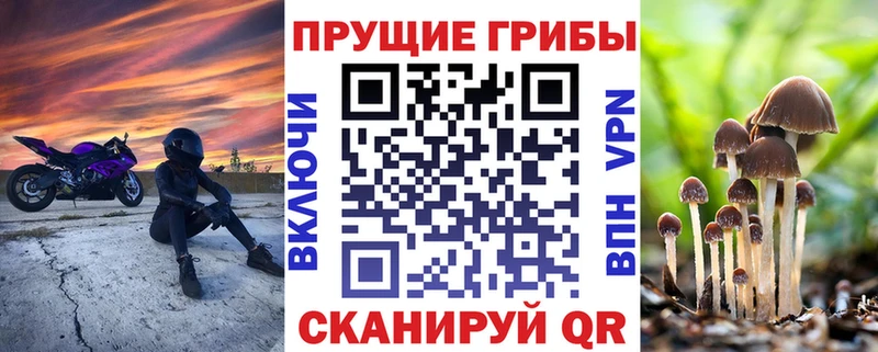 Галлюциногенные грибы Magic Shrooms  Заводоуковск 