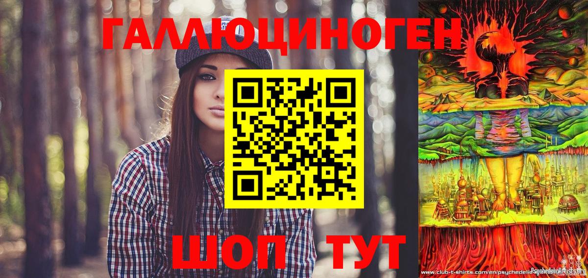 Заводоуковск  Псилоцибиновые грибы Psilocybe  Вход с VPN 