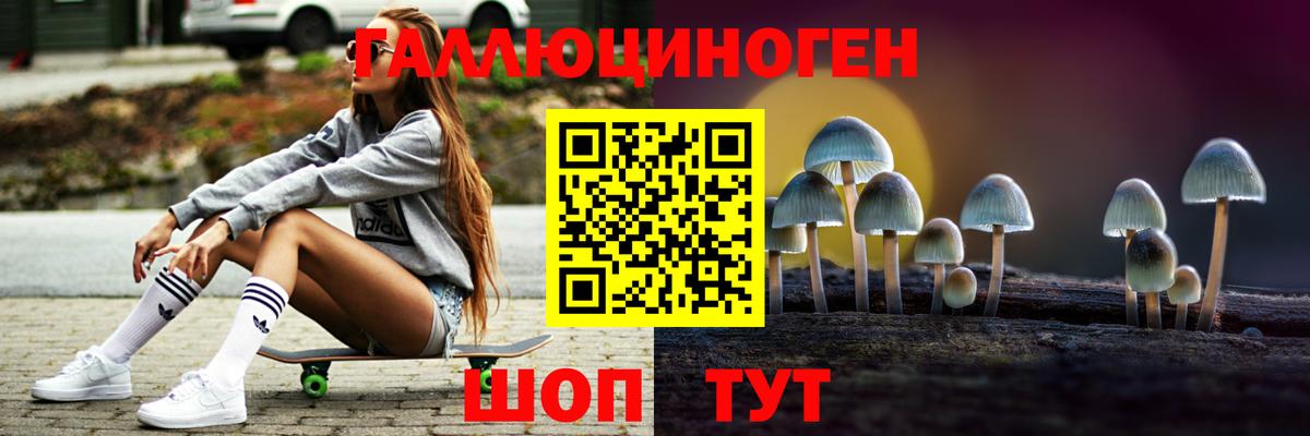 Псилоцибиновые грибы Cubensis Заводоуковск